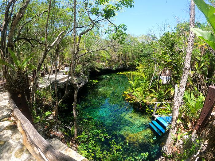 Cenote Nicte-Ha - Lol Ka’naab