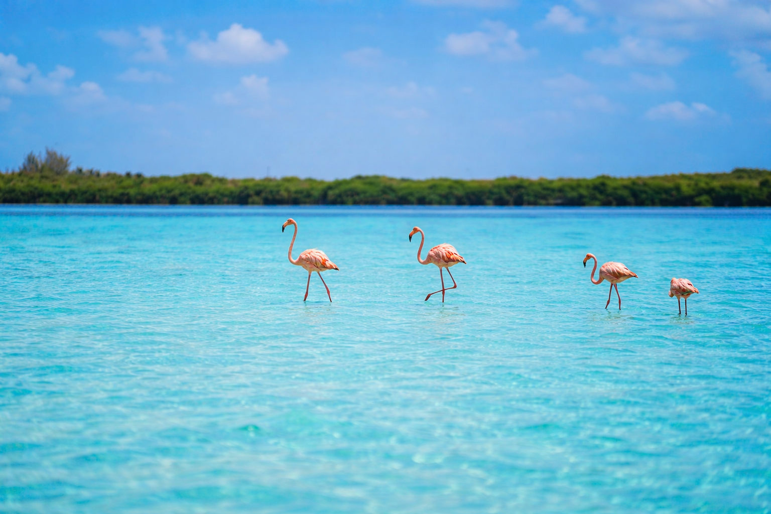 Yum Balam Nature Reserve