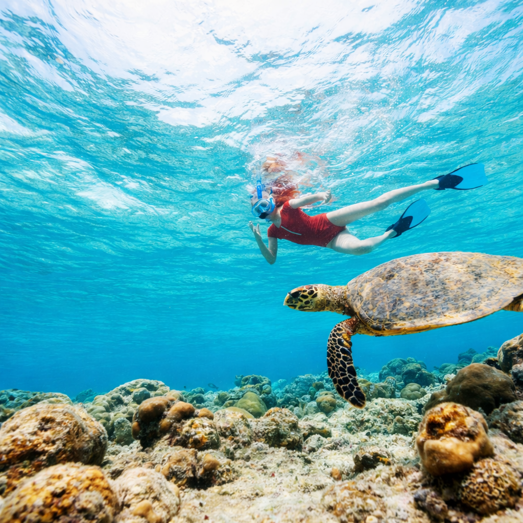 Snorkeling in Half Moon Bay