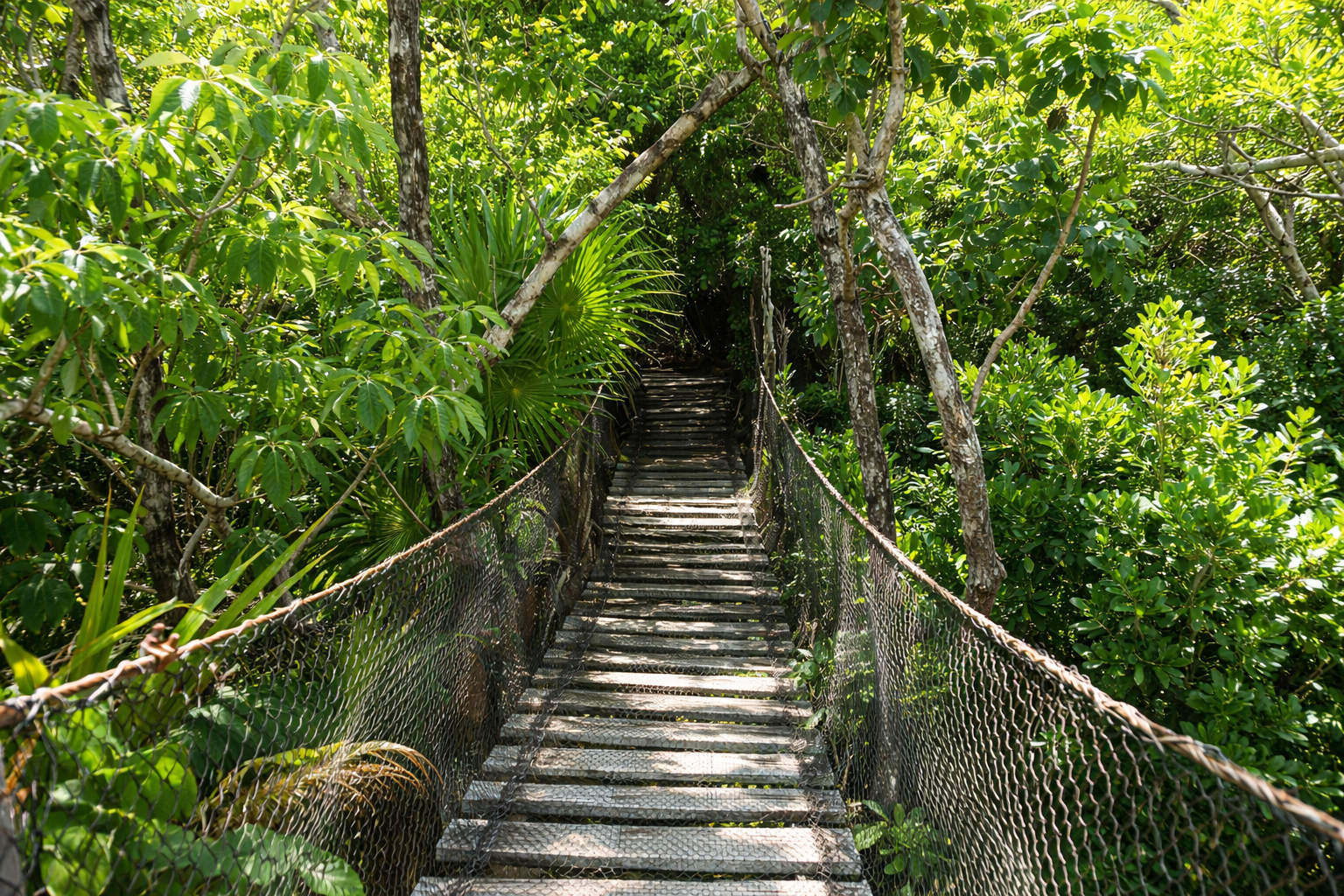 Dr. Alfredo Barrera Marin Botanical Garden